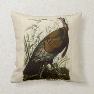 Vild Turkiet av John Audubon Kudde