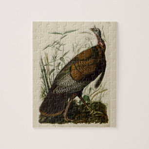 Vild Turkiet av John Audubon Pussel