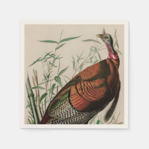 Vild Turkiet Birds of America Audubon Print Pappersservett