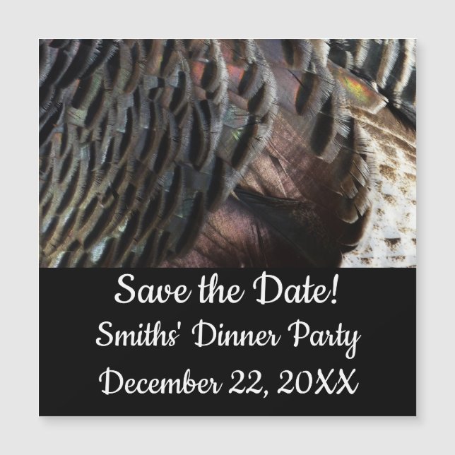 Vild Turkiet Feathers I Abstrakt Natur Design (Framsida)