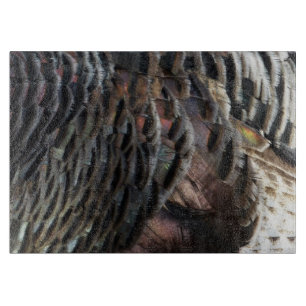 Vild Turkiet Feathers I Abstrakt Natur Design