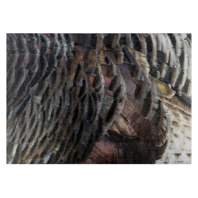 Vild Turkiet Feathers I Abstrakt Natur Design (Framsidan)