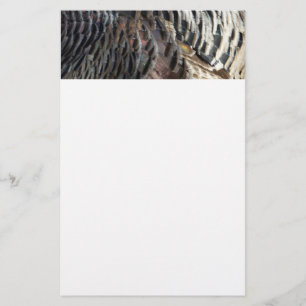 Vild Turkiet Feathers I Abstrakt Natur Design Brevpapper