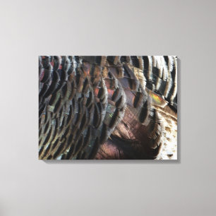 Vild Turkiet Feathers I Abstrakt Natur Design Canvastryck