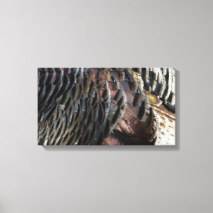 Vild Turkiet Feathers I Abstrakt Natur Design Canvastryck