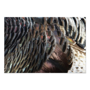 Vild Turkiet Feathers I Abstrakt Natur Design Fototryck