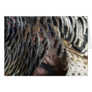 Vild Turkiet Feathers I Abstrakt Natur Design Hälsningskort