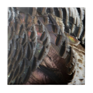 Vild Turkiet Feathers I Abstrakt Natur Design Kakelplatta