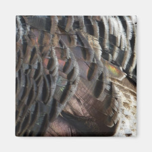 Vild Turkiet Feathers I Abstrakt Natur Design Magnet