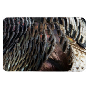 Vild Turkiet Feathers I Abstrakt Natur Design Magnet