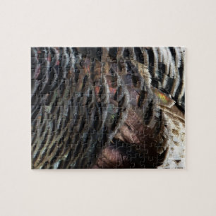 Vild Turkiet Feathers I Abstrakt Natur Design Pussel