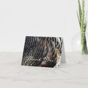 Vild Turkiet Feathers I Abstrakt Natur Design Tack Kort
