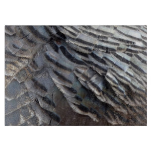 Vild Turkiet Feathers II Abstrakt Natur Design