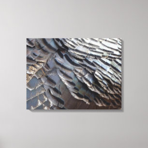 Vild Turkiet Feathers II Abstrakt Natur Design Canvastryck