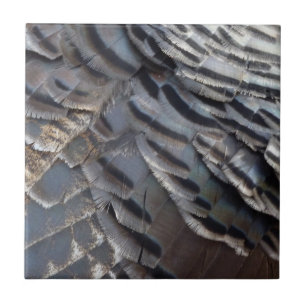 Vild Turkiet Feathers II Abstrakt Natur Design Kakelplatta