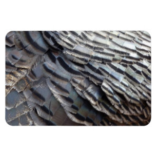 Vild Turkiet Feathers II Abstrakt Natur Design Magnet
