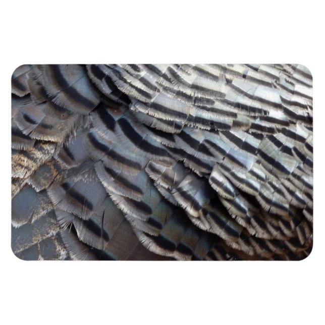 Vild Turkiet Feathers II Abstrakt Natur Design Magnet (Horisontell)