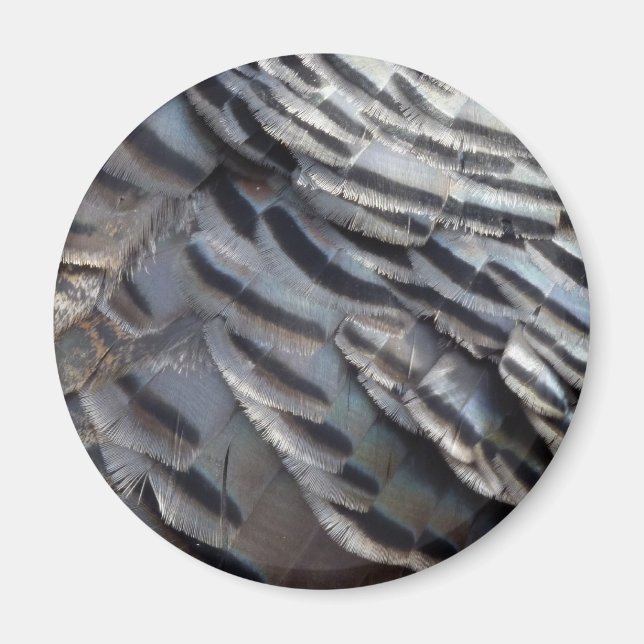 Vild Turkiet Feathers II Abstrakt Natur Design Magnet (Framsidan)