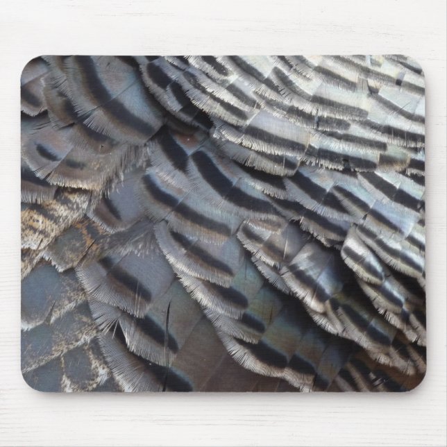 Vild Turkiet Feathers II Abstrakt Natur Design Musmatta (Framsidan)