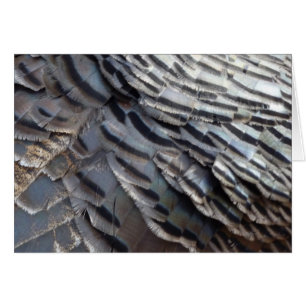 Vild Turkiet Feathers II Abstrakt Natur Design OBS Kort