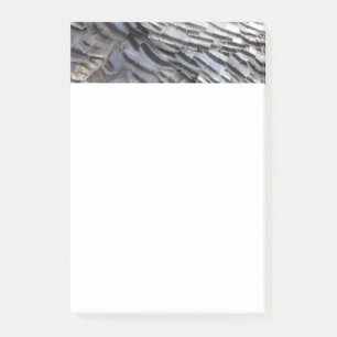 Vild Turkiet Feathers II Abstrakt Natur Design Post-it Block