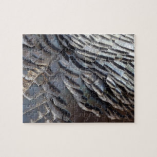 Vild Turkiet Feathers II Abstrakt Natur Design Pussel