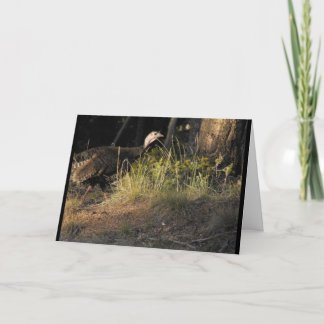 Vild Turkiet-hälsningskort Kort