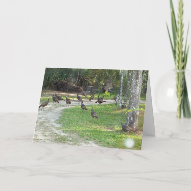 Vild Turkiet Helgkort (Framsida)