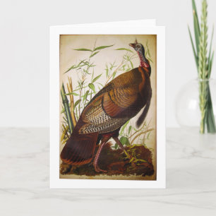 Vild Turkiet, John James Audubon Kort