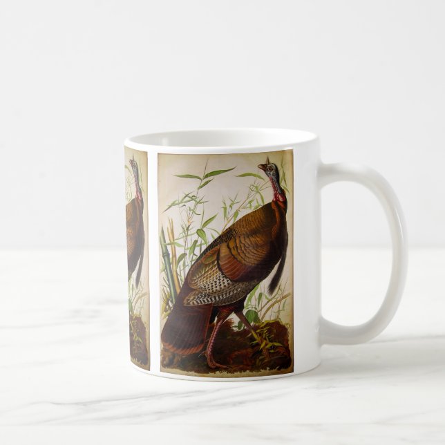 Vild Turkiet, John James Audubon Mugg (Höger)