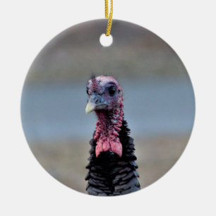 Vild Turkiet Julgransprydnad Keramik