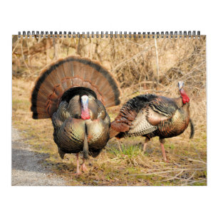 Vild Turkiet Kalender
