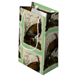 Vild Turkiet (Male) från Audubon's Birds of Americ