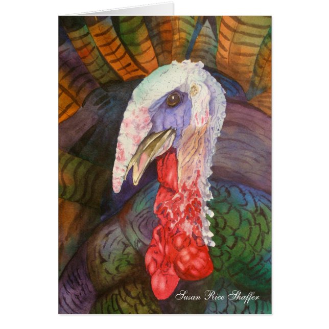 "Vild" Turkiet OBS Kort (Framsidan)