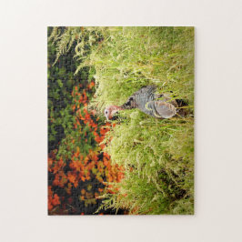 Vild Turkiet på hösten i Tyskland i höst Pussel