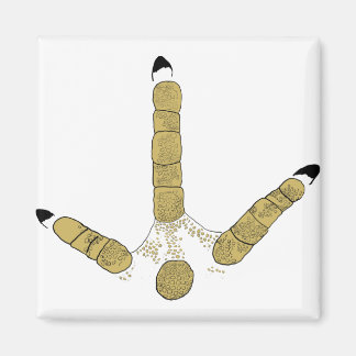 Vild Turkiet Track Magnet