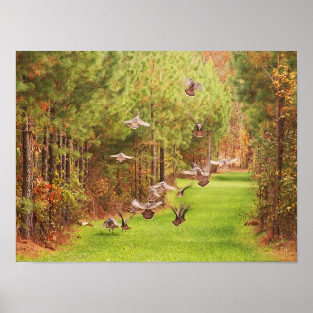 Vild Turkiets flygfärd Poster (Framsidan)