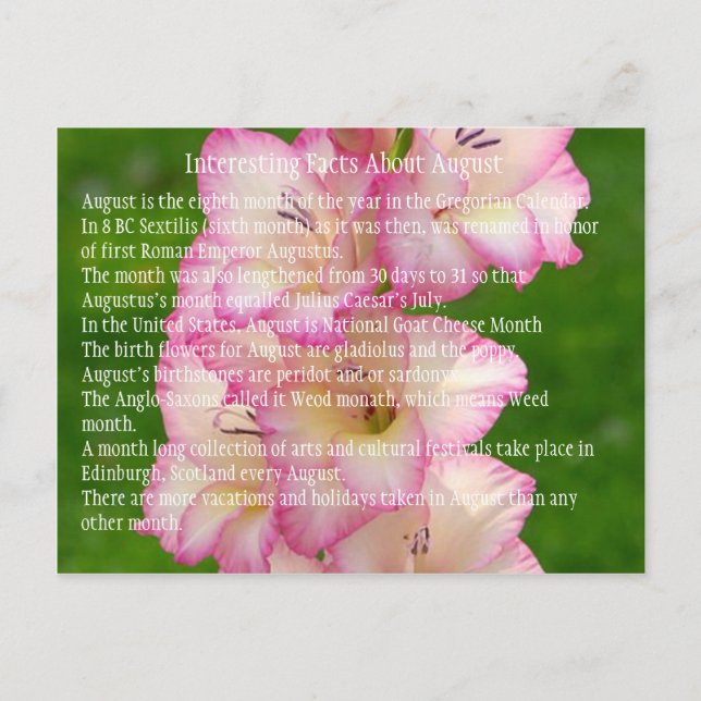 vild-vallmo vykort (Framsida)