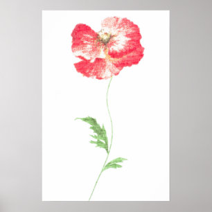 Vild vallmoblomma poster