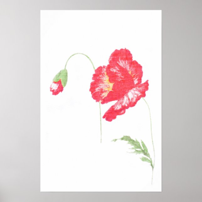 Vild vallmoblomma poster (Framsidan)
