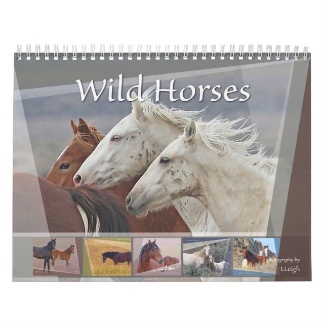 Vild Västerns hästar Kalender (Omslag)