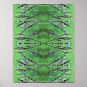 Vild Vervain Flowers Abstrakt Poster
