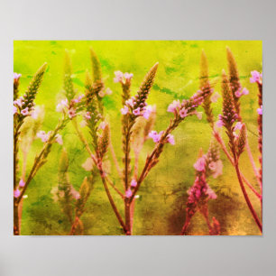 Vild Vervain Flowers Multiplied Blommigt Art Poster