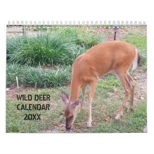 Vild Viltfotografering Kalender