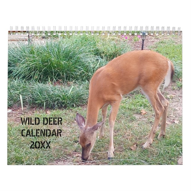 Vild Viltfotografering Kalender (Omslag)