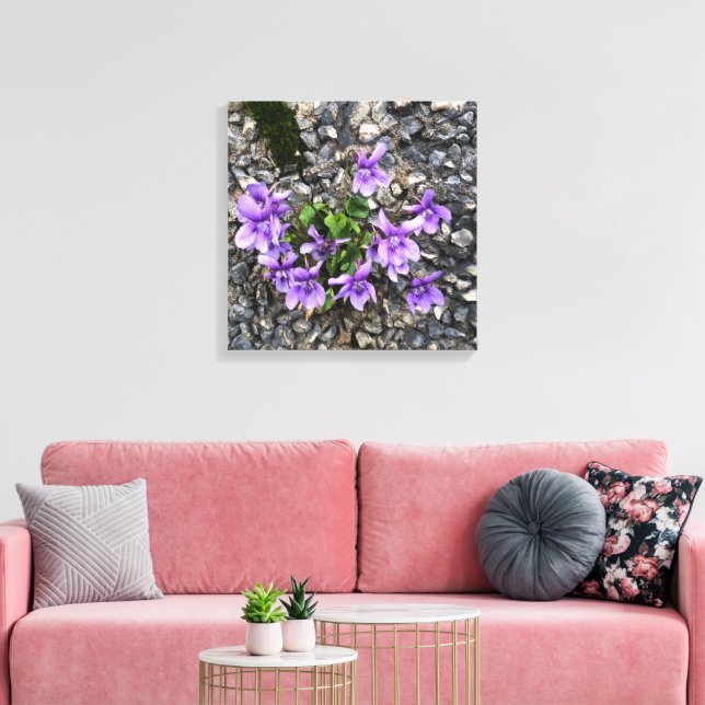 Vild Viola blommor som växer från en grov gjutvägg Canvastryck (Insitu (Vardagsrum))