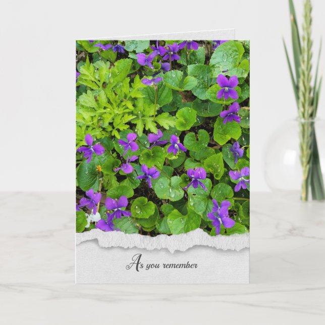 Vild Violas with Raindrops sympathy Card Kort (Framsida)