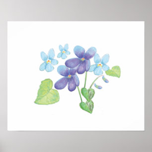 Vild Violet Flowers Illustration Poster
