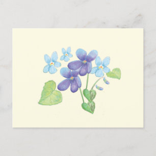 Vild Violet Flowers Illustration Vykort