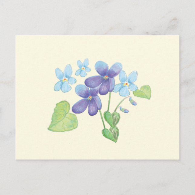 Vild Violet Flowers Illustration Vykort (Framsida)
